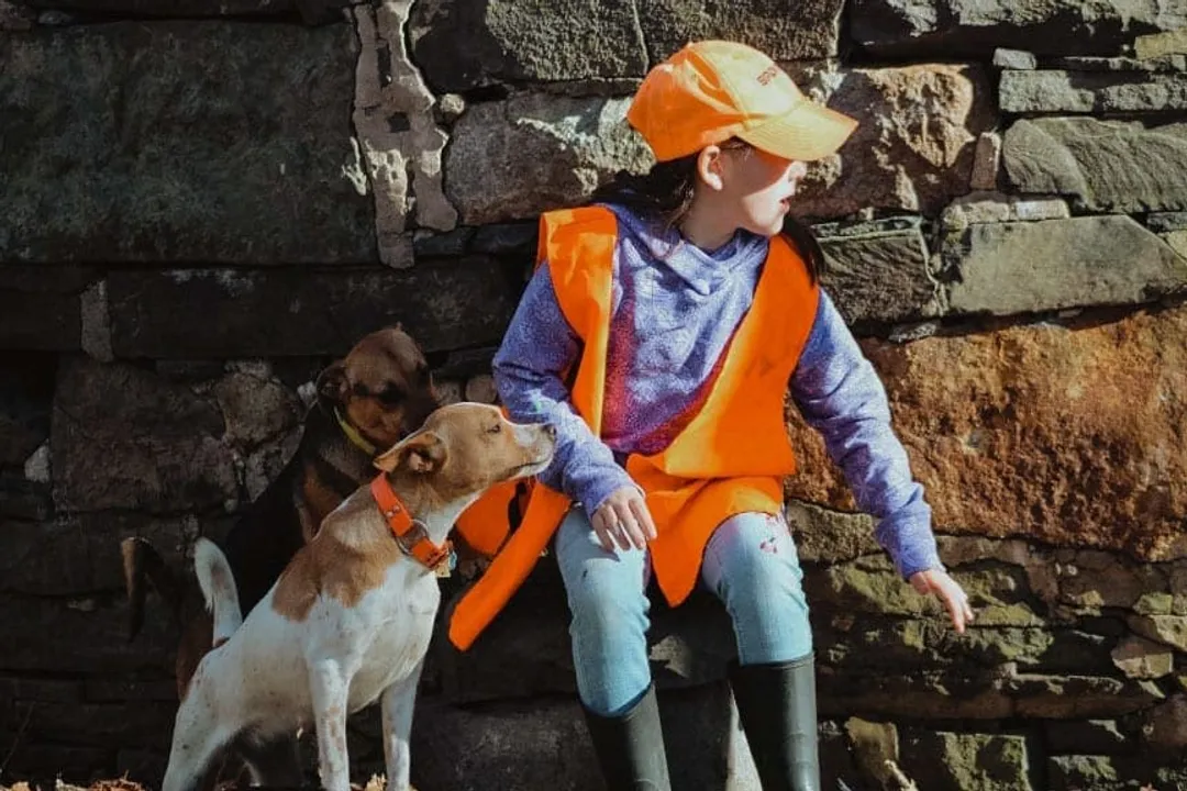 What type of dog is a Mountain Feist?, Breed Recognition