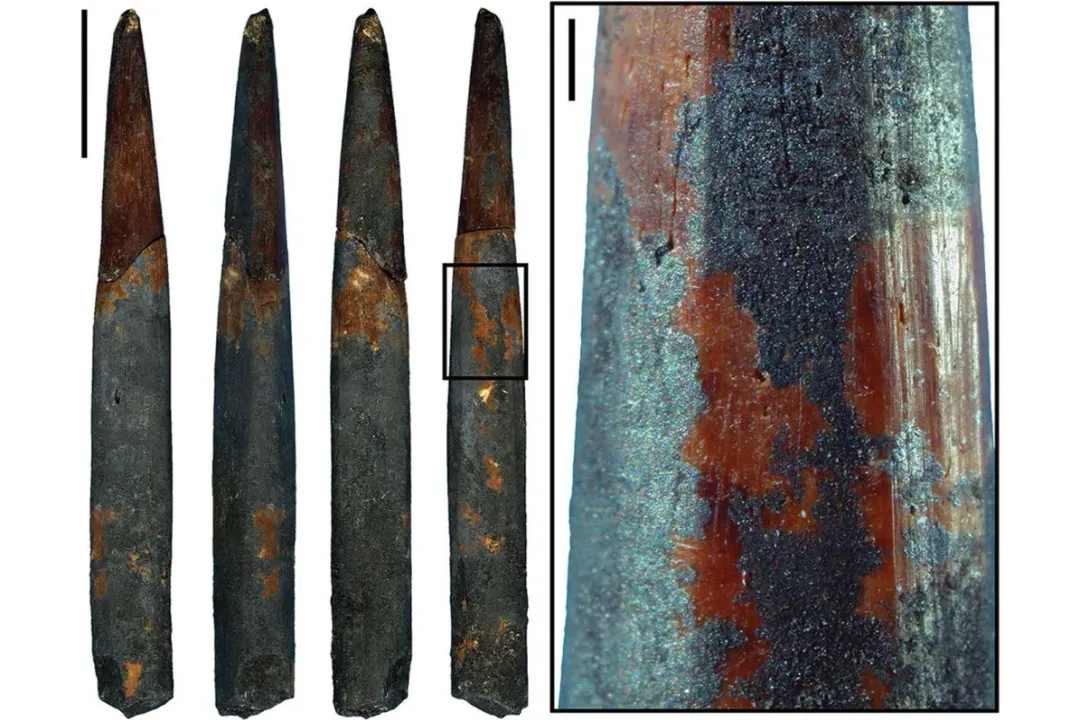 What was the first item to be invented?, Earliest Tools