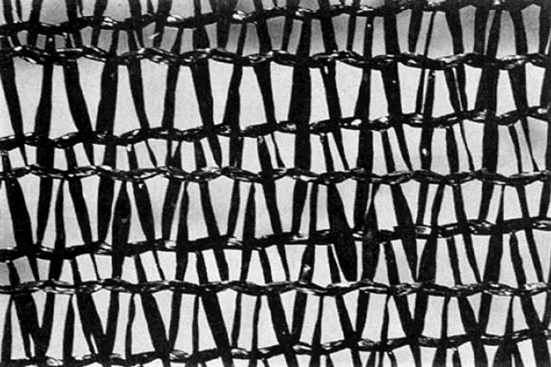 What were the first modern fog catchers like?, First Structures