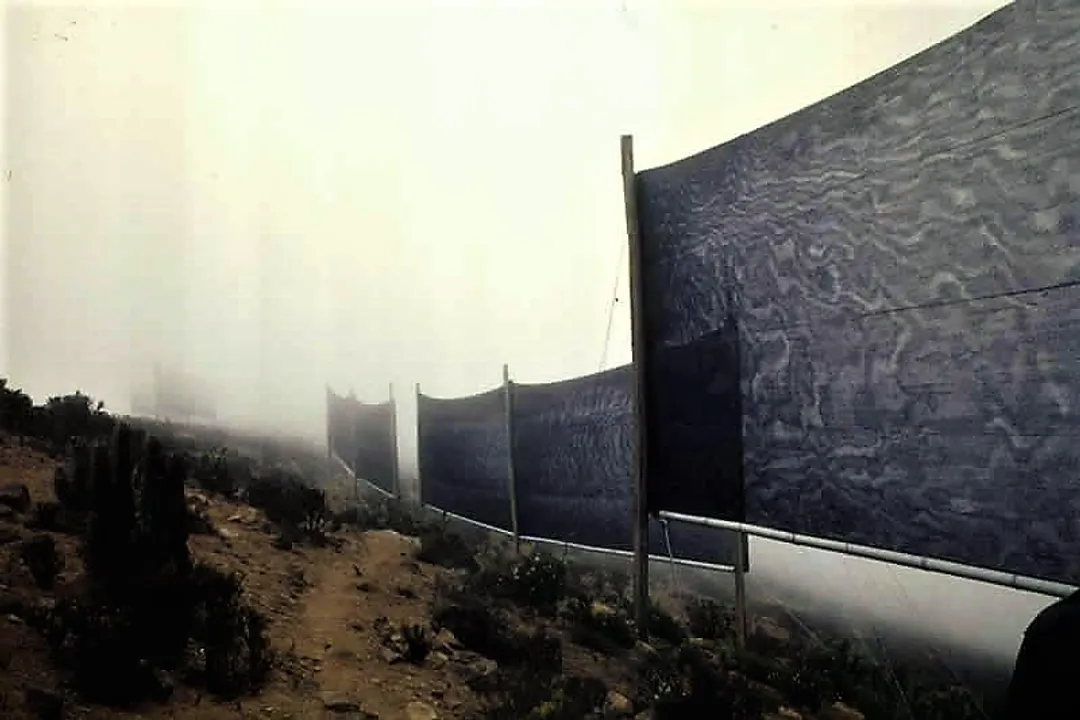 What were the first modern fog catchers like?, Pioneering Efforts