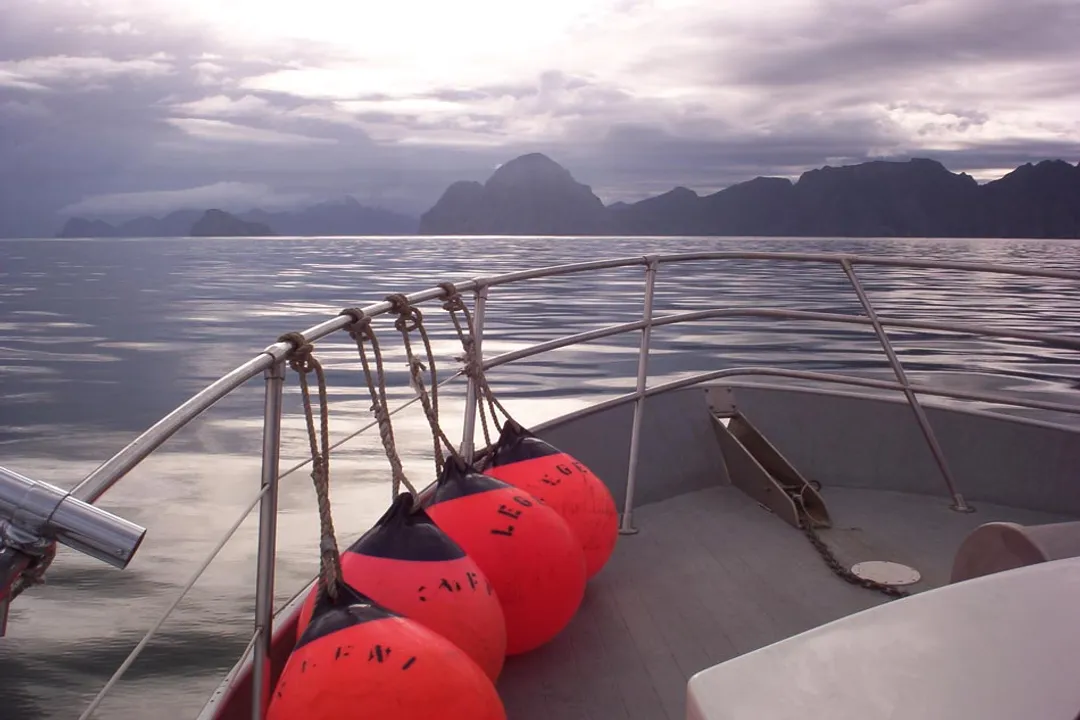 What's the biggest salmon shark ever recorded?, Alaskan Habitat