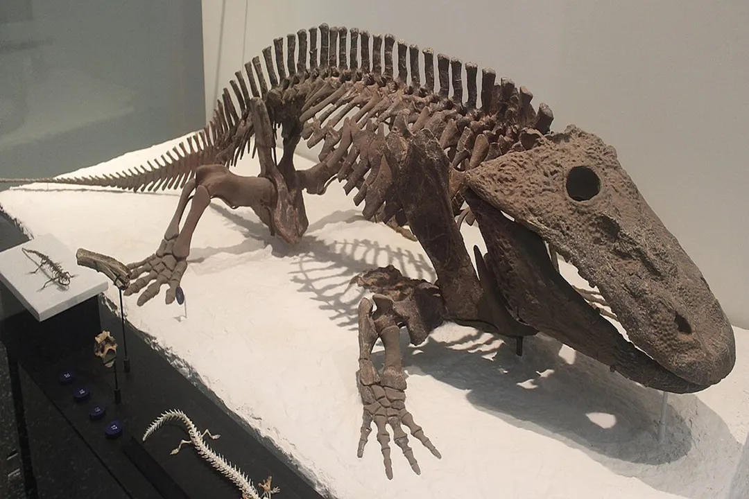 When did Eryops go extinct?