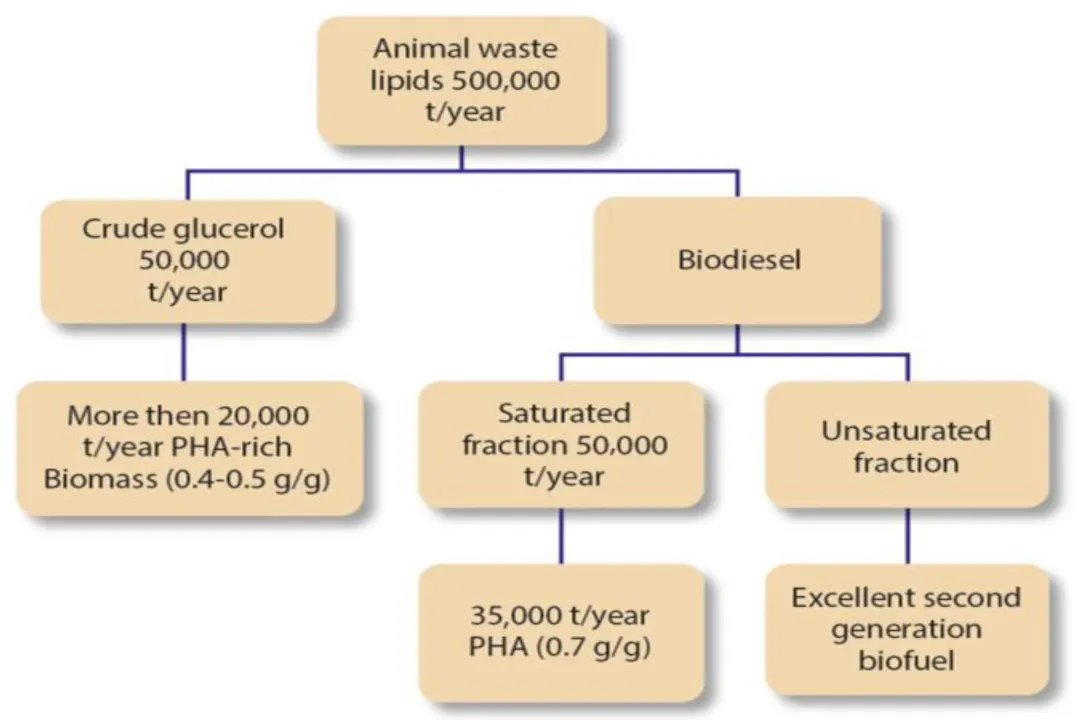 When was biodegradable plastic invented?, Plastic Precursor