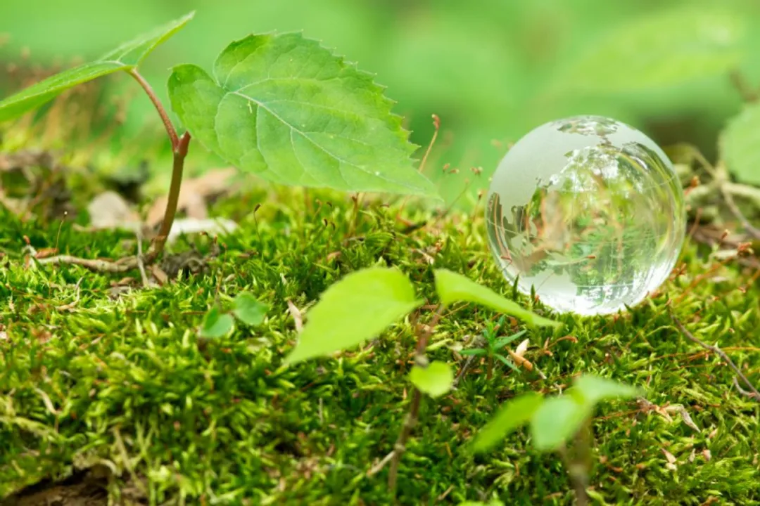 When was biodegradable plastic invented?