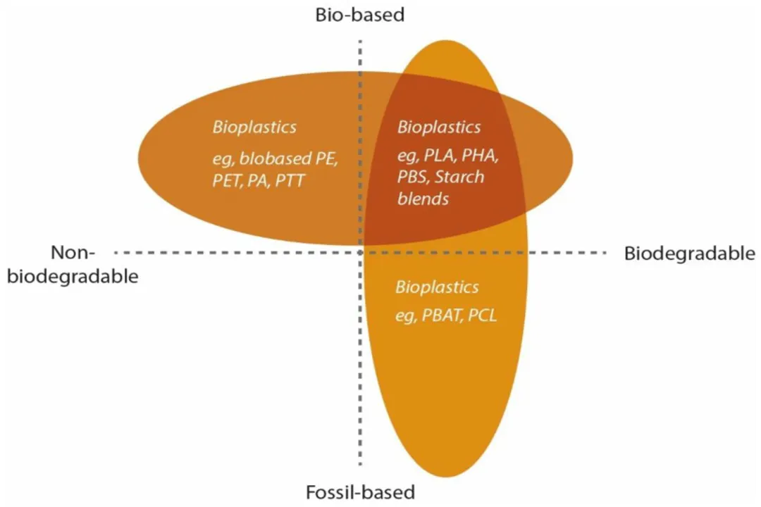 When was biodegradable plastic invented?, Cellulose Films Emerge