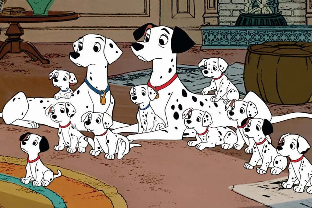 Where are Dalmatians found?