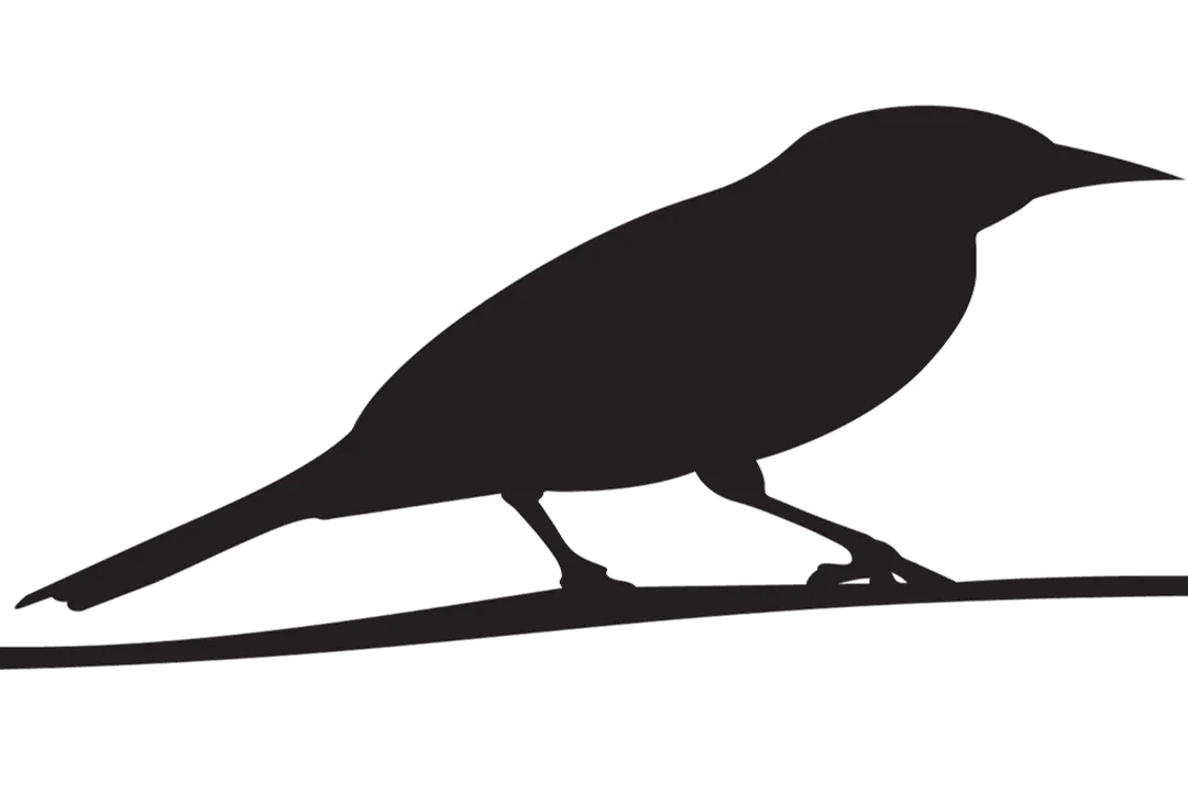 Where are orchard orioles found?, Habitat Needs