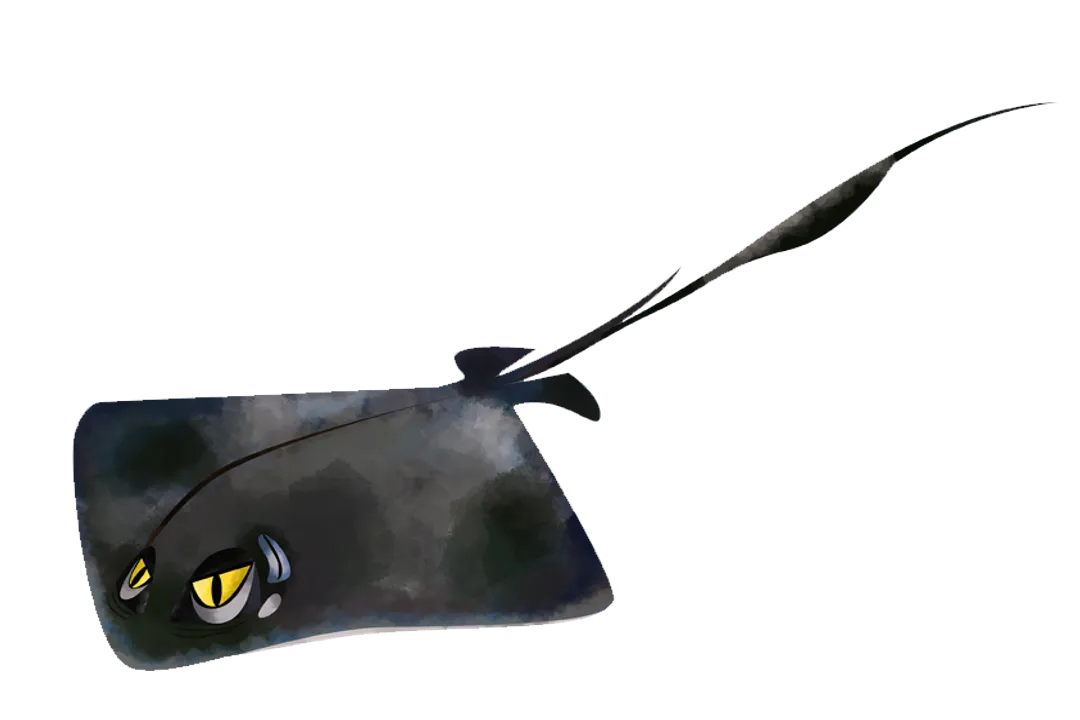 Where are stingrays found in the US?, Pacific Encounters