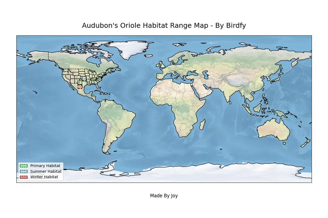 Where are the oriole birds right now?