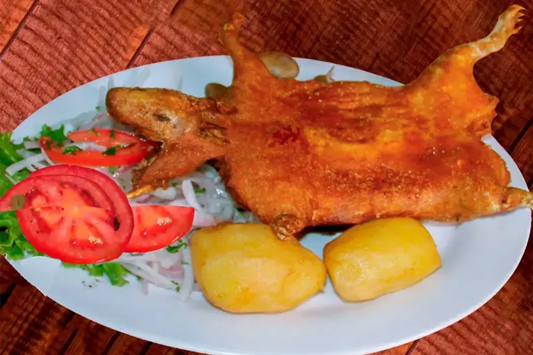 Where did the Peruvian guinea pig come from?, Naming Confusion