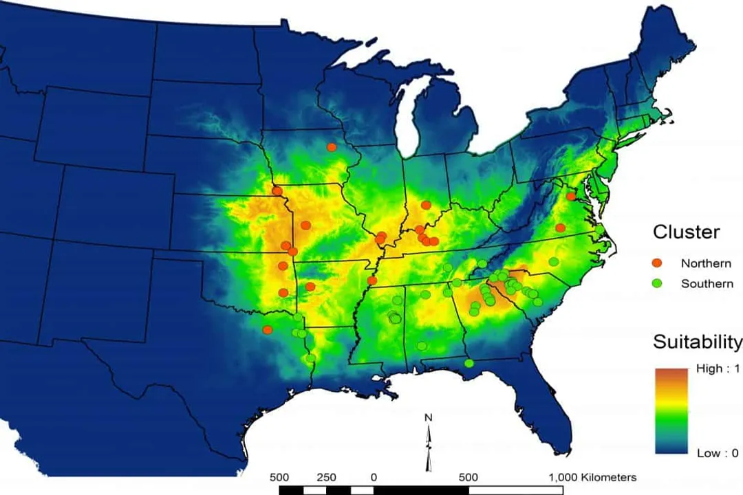Where do stag beetles live in the USA?, Eastern Concentration