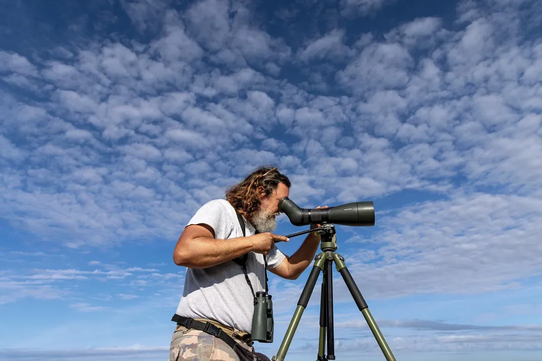 Where is the best place to see roseate spoonbills?, Florida Viewing