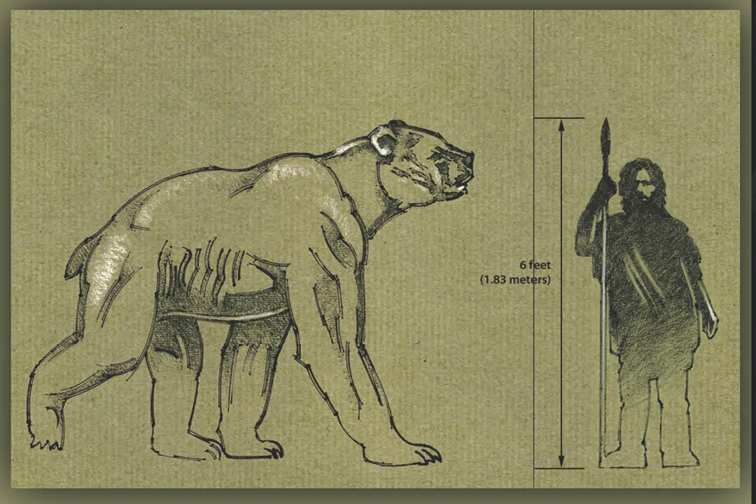 Where were short-faced bears located?