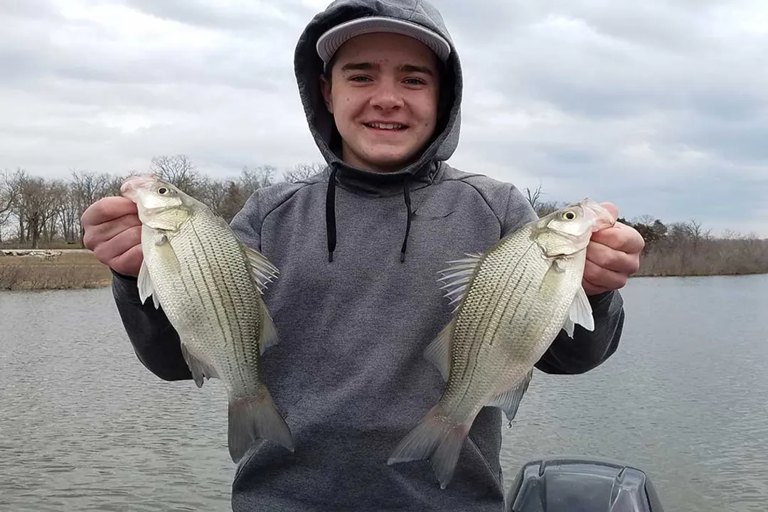 White Bass Locations, Summer Depths