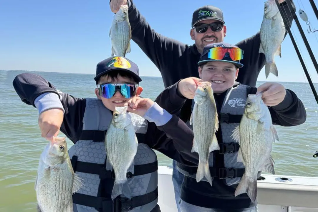 White Bass Locations, Spawning Sites