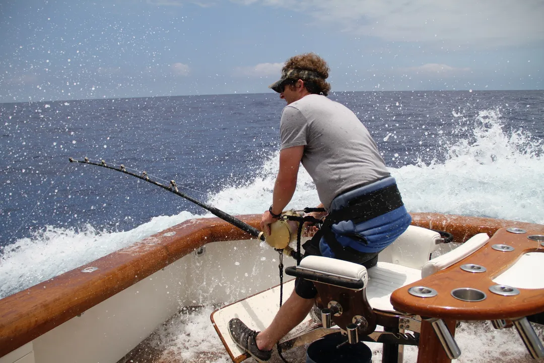 White Marlin Locations