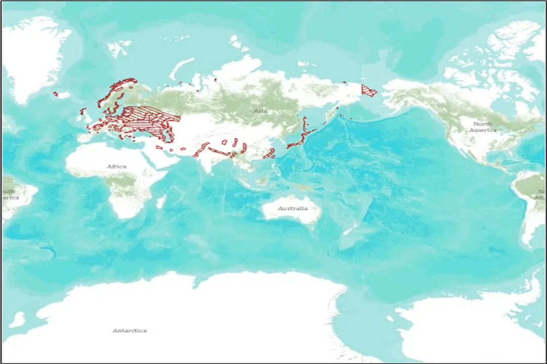 White-Tailed Eagle Facts, Physical Attributes