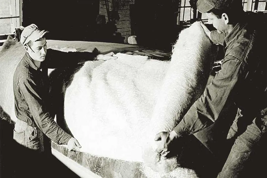 Who built the first fiberglass boat?, First Sailboat