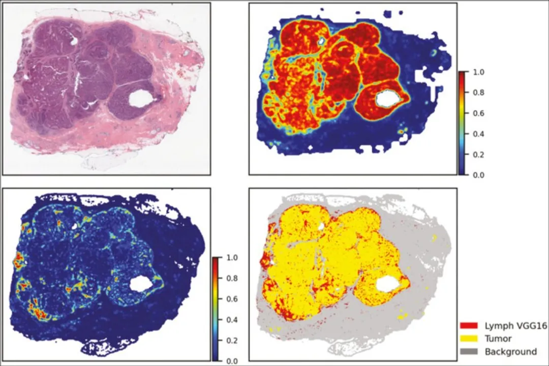 What is the primary operational focus of a Clinical Data Repository (CDR)?