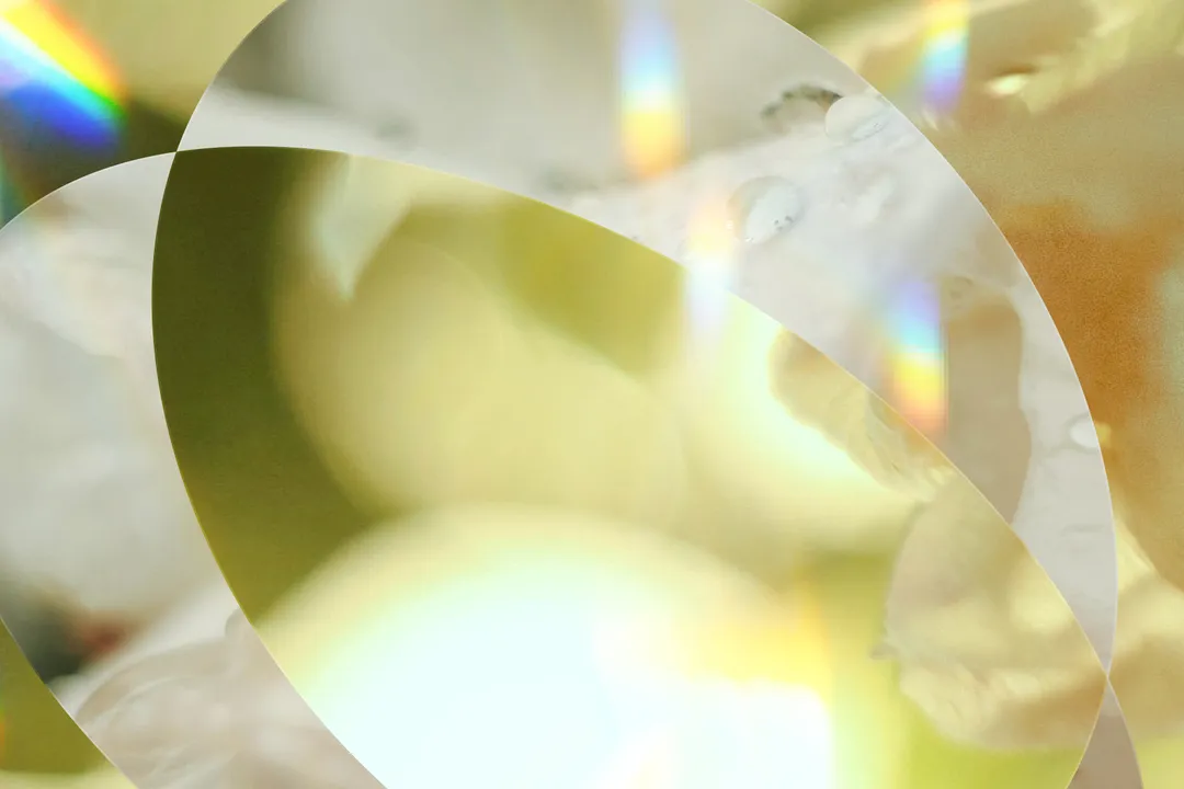 Who invented IVR systems?, Bell Labs Roots