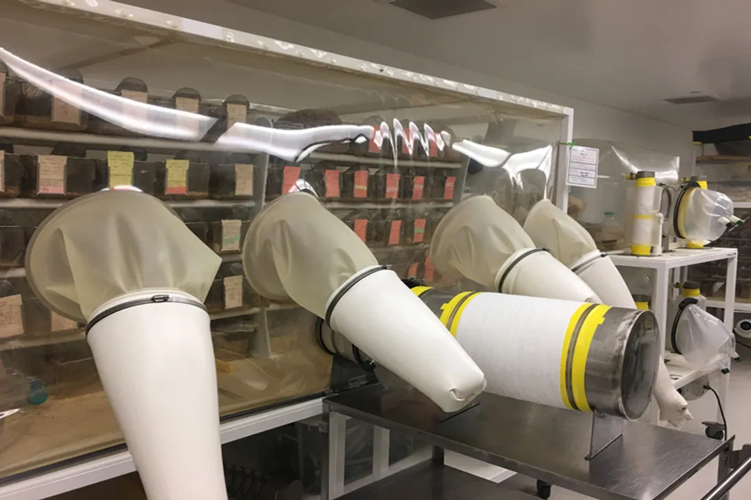 Who invented microbiome analysis tools?, Big Data Handling