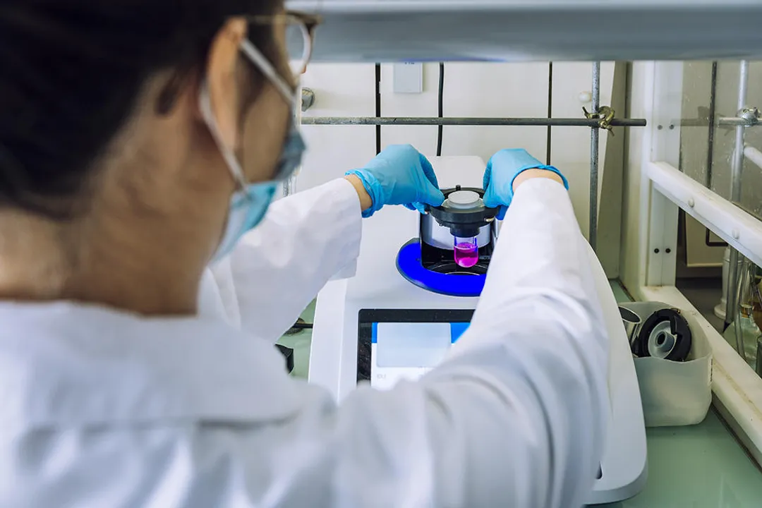 Who invented phytoremediation?, Ancient Roots