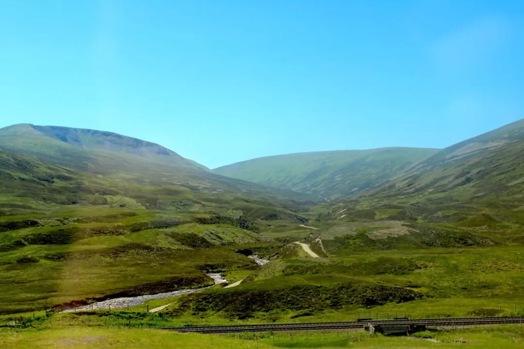 Who invented phytoremediation?