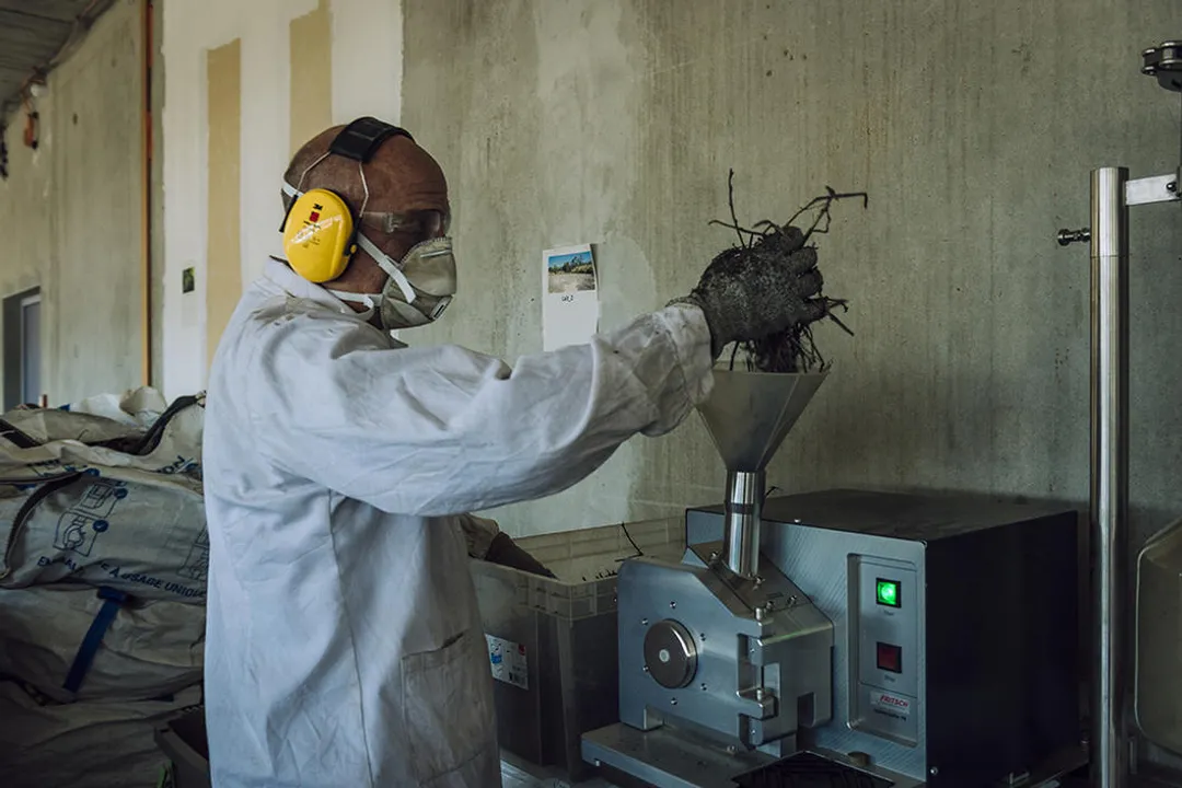 Who invented phytoremediation?, Coining the Term