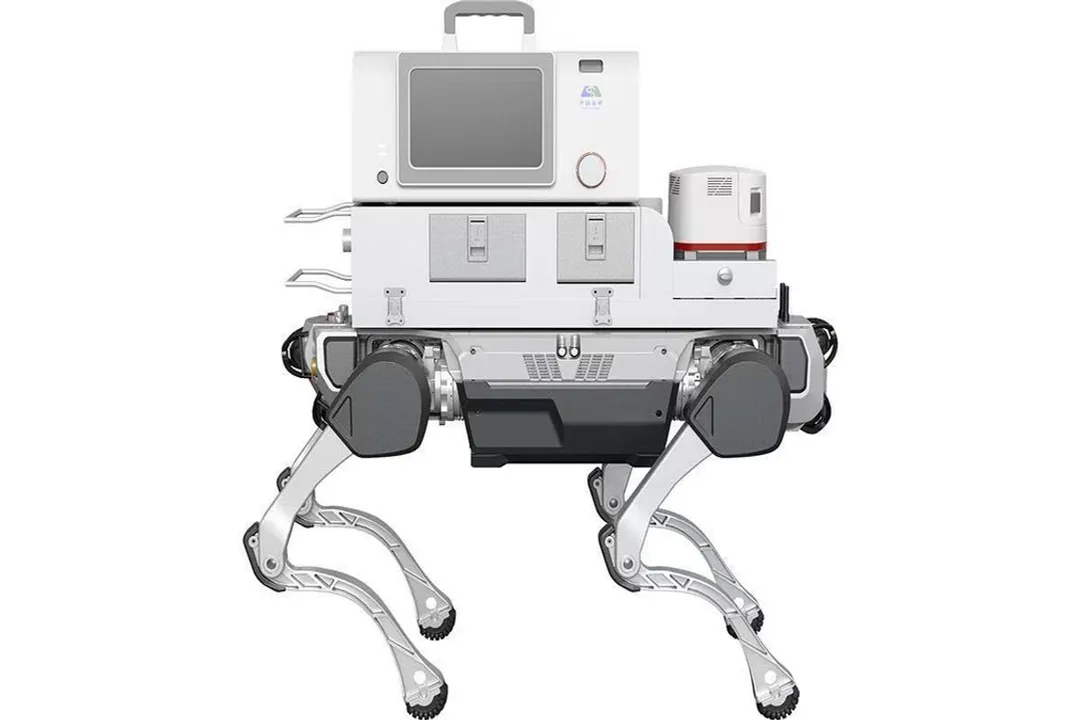 Who invented rescue robotics?, Global Expansion