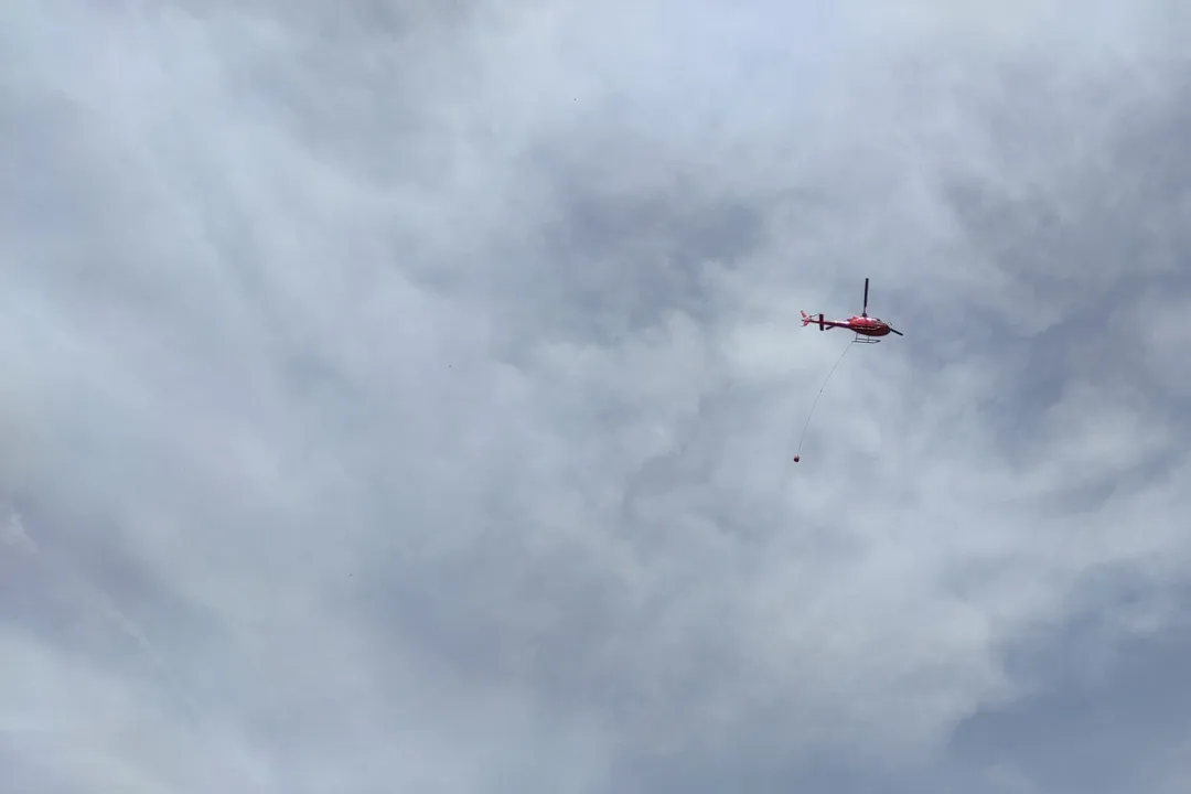 Who invented search-and-rescue sensors?, Specialized Detection