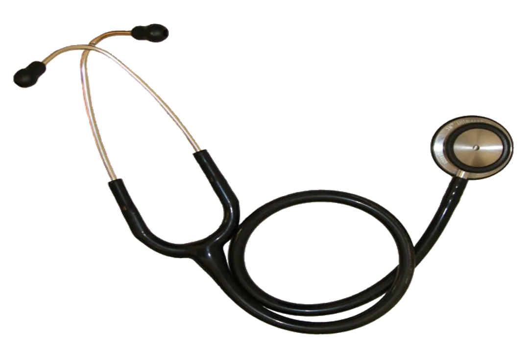 Who invented smart stethoscopes?, Digital Foundations