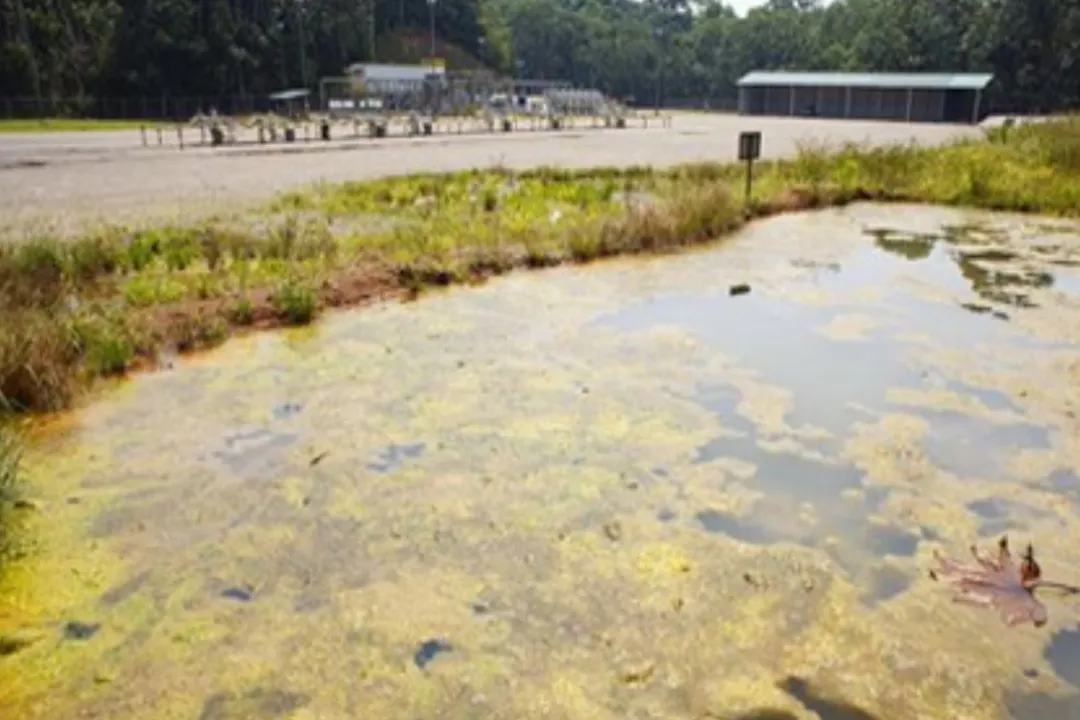 Who invented soil remediation?, Bioremediation Emergence