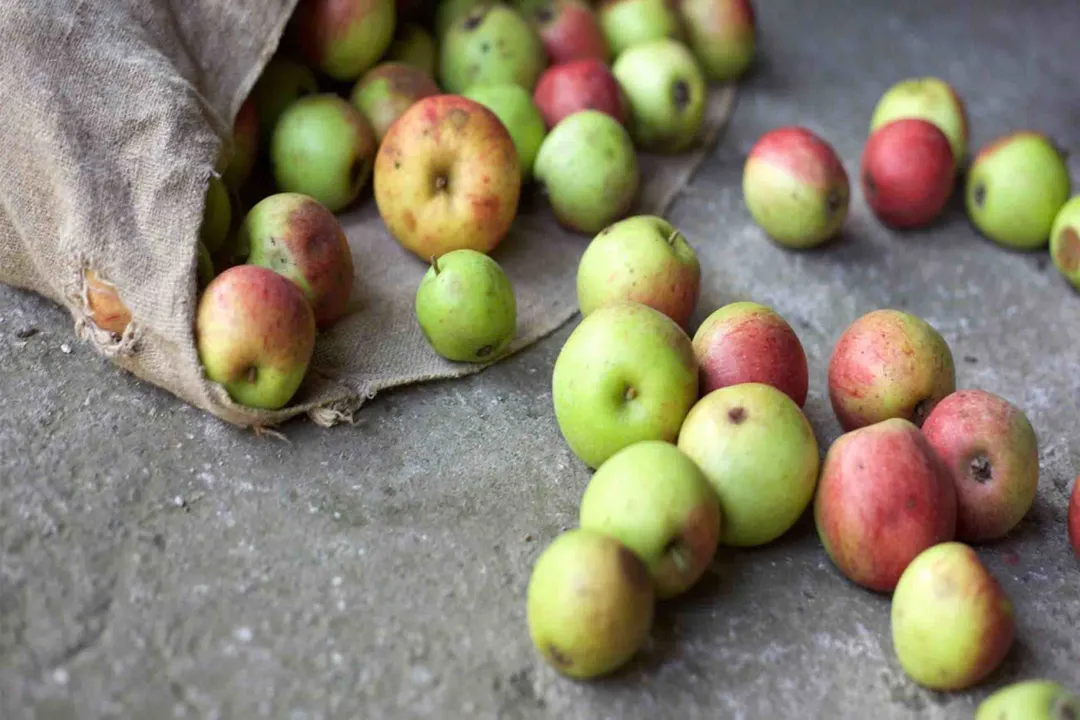 Who invented surplus food apps?, Key Founders