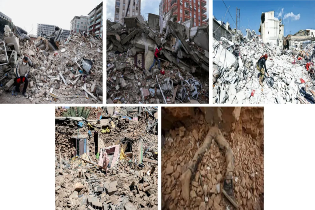 Who invented survivor detection systems?, System Comparison