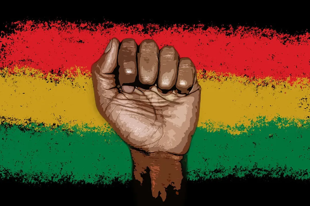 What was a primary goal of Elkins' focus on the enclosure and housing of the toilet fixture?