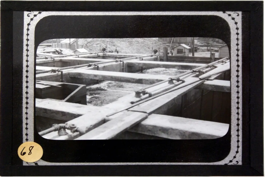 Who invented wastewater treatment plants?