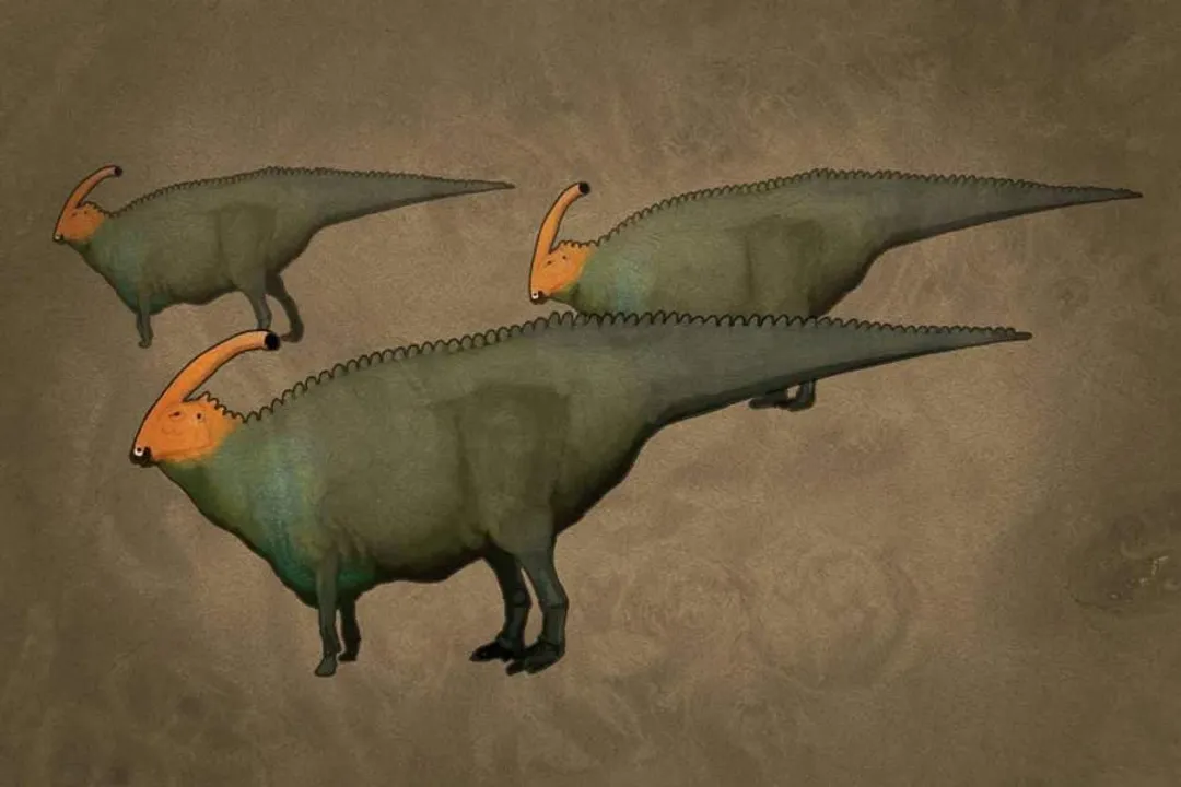 Why are Parasaurolophus cool?