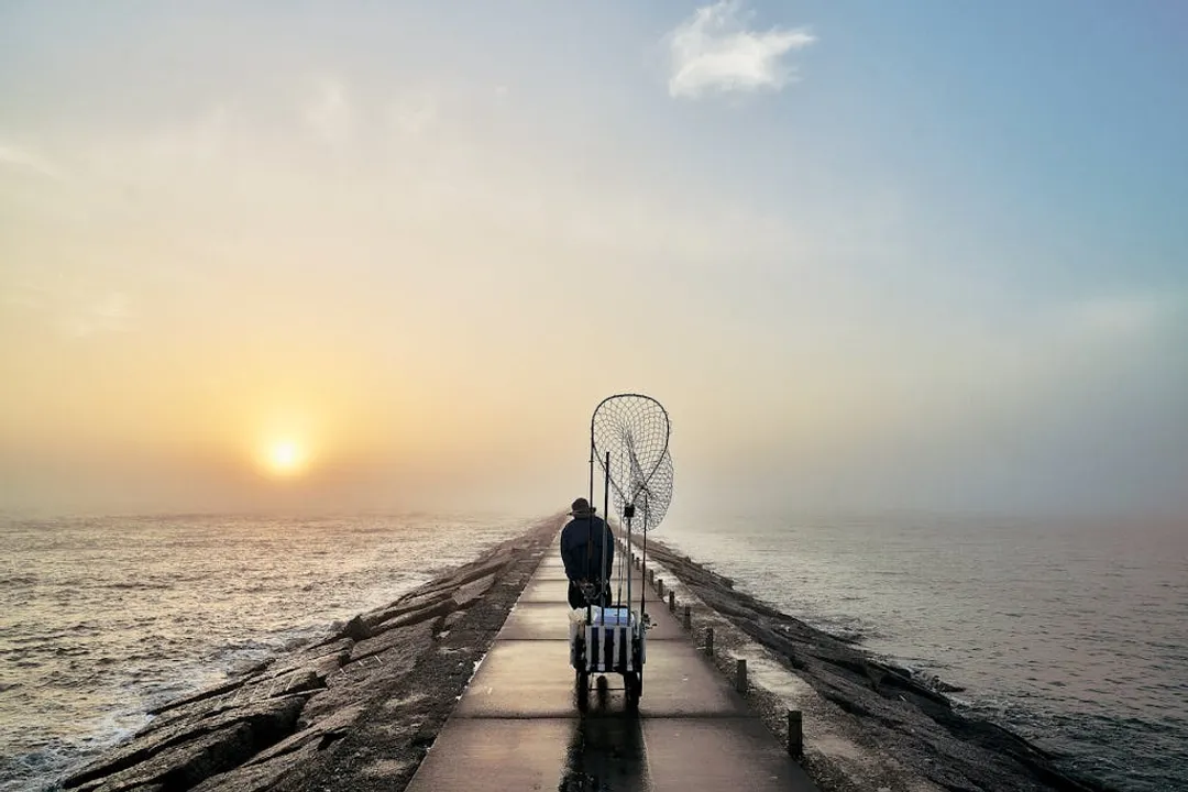 Why are sheepshead called convict fish?, Striped Appearance