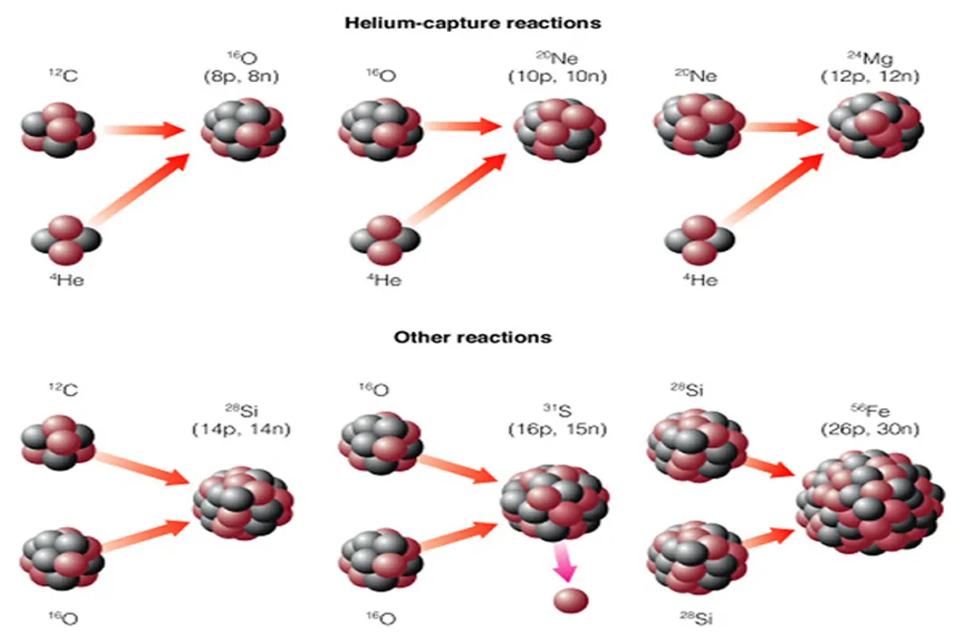 Why do larger stars spend less time in main sequence?, Fuel Consumption