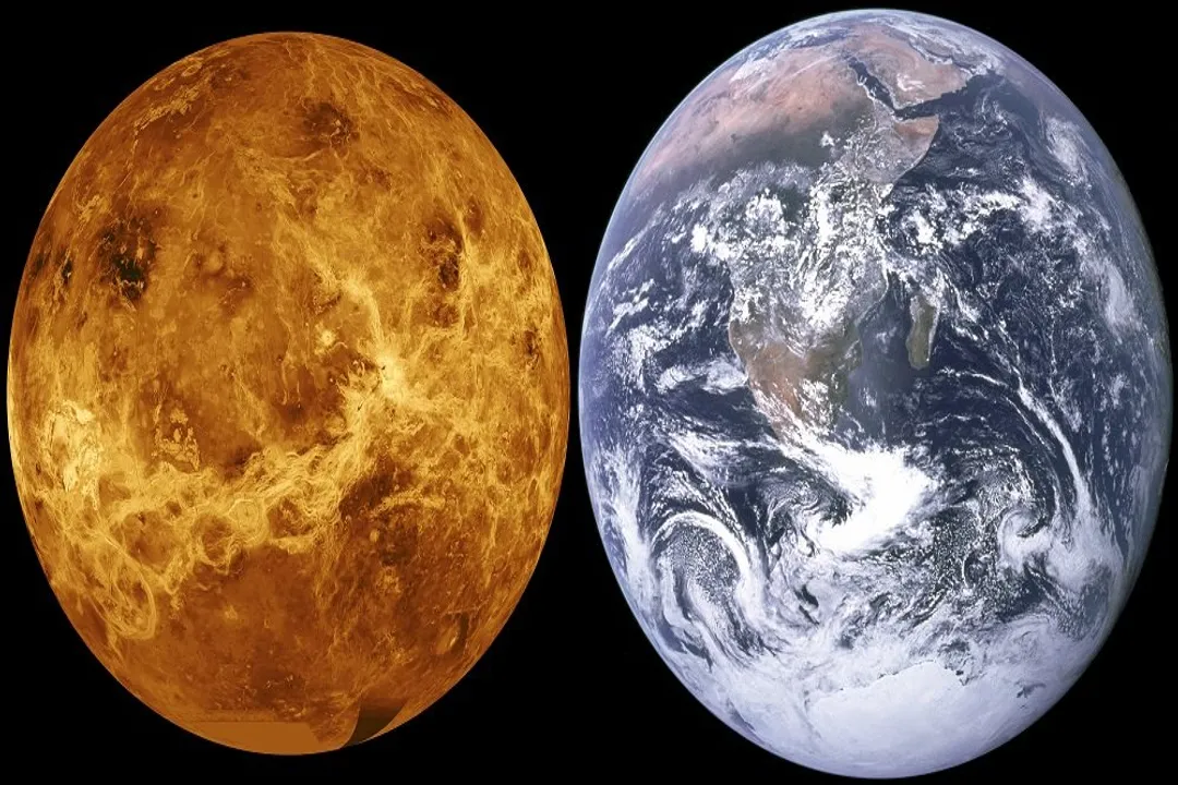 Why does Venus not have a global magnetic field like Earth?