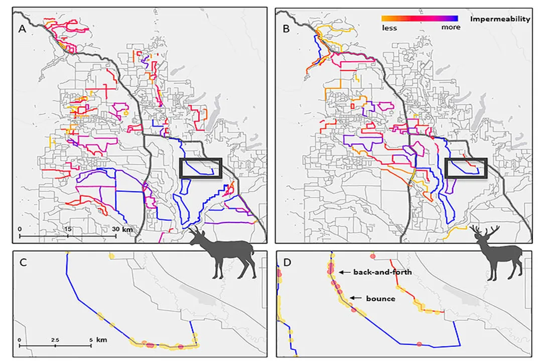 Why don't pronghorn jump fences?, Speed Dominance