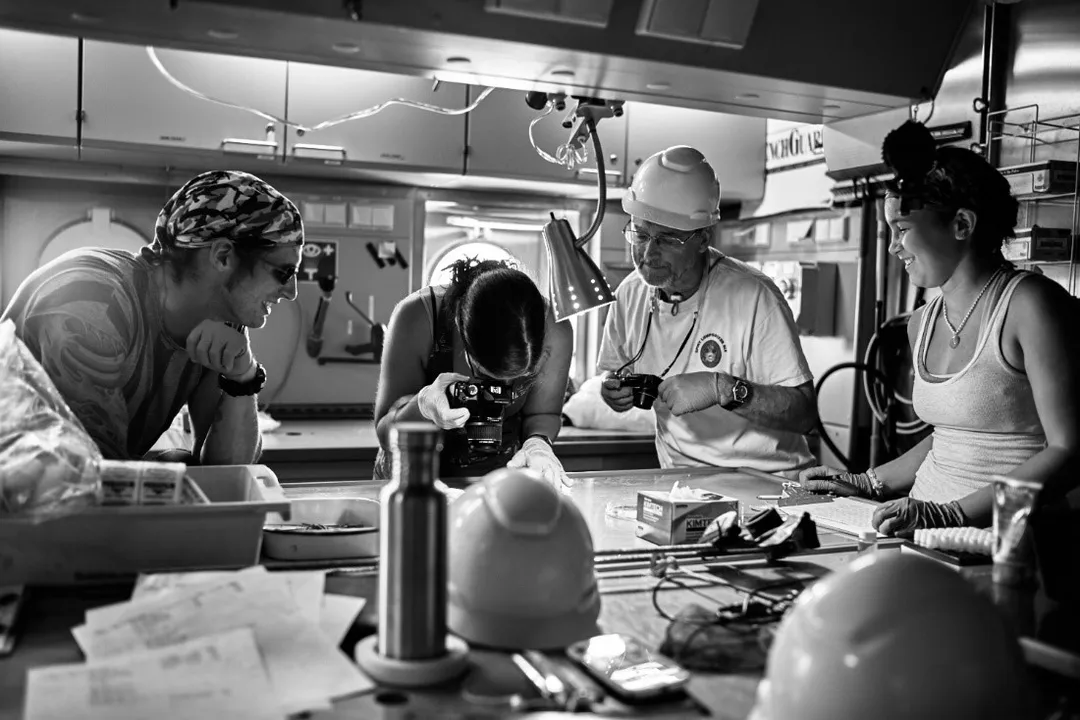 Why is a snailfish called a snailfish?, Body Structure