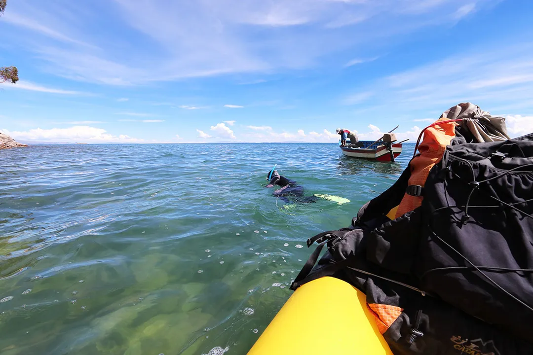 Why is it called a scrotum frog?, The Nickname