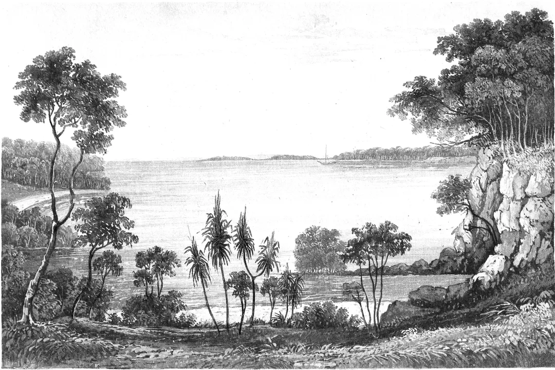 Why is it called keelback snake?