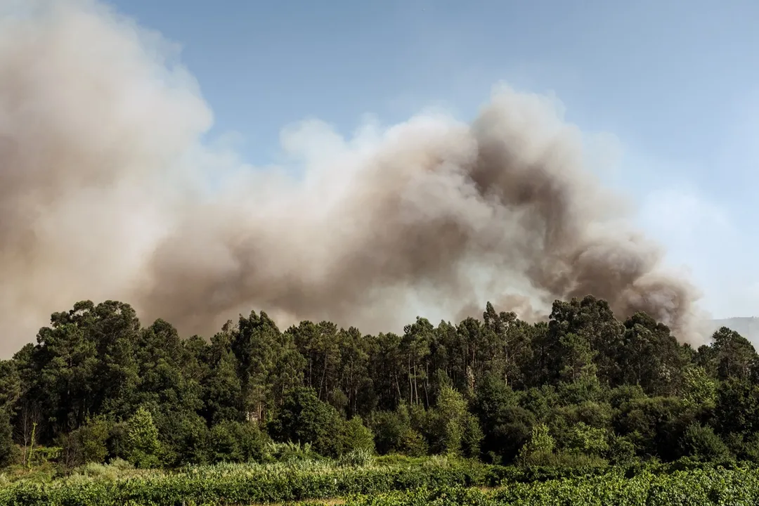 Why is our planet so important?, Price Paid