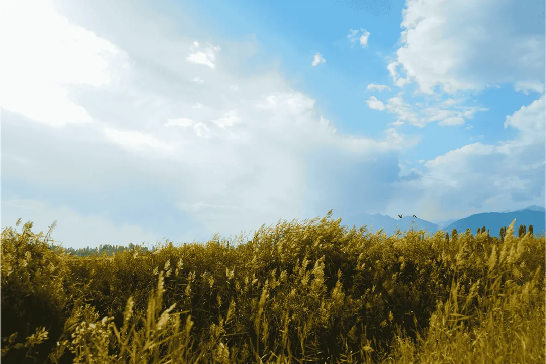 Why is the sky blue and sometimes orange?, Molecular Interaction