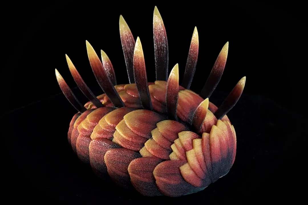 Wiwaxia Evolution, Appearance Details