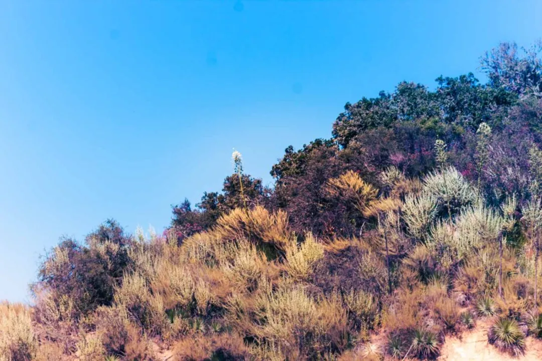 Woodrat Locations, Practical Locational Awareness