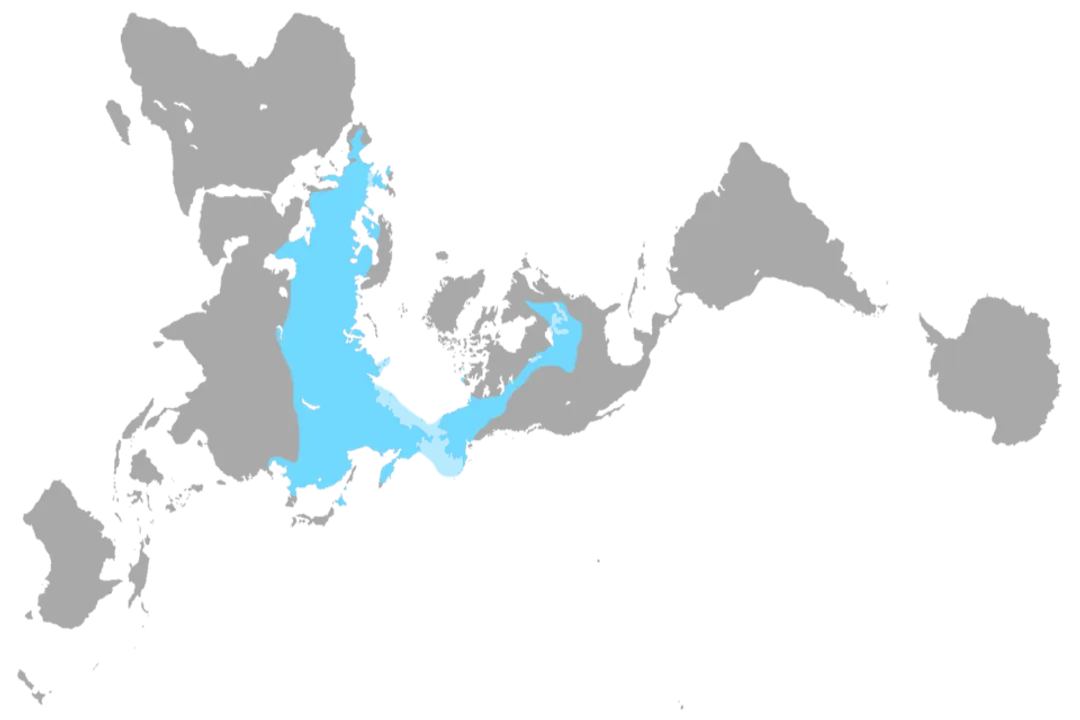 Woolly Mammoth Physical Characteristics, Curved Tusks
