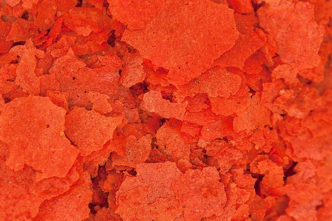 Wrasse Diet, Staple Foods